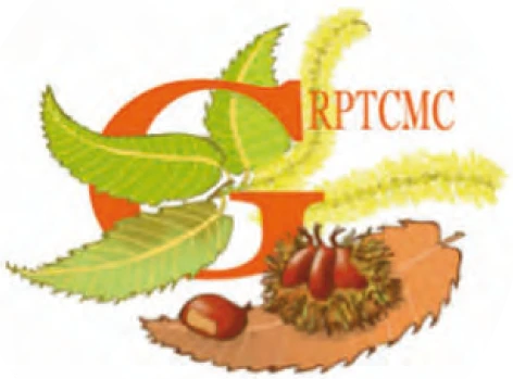 Logo GRPTCMC