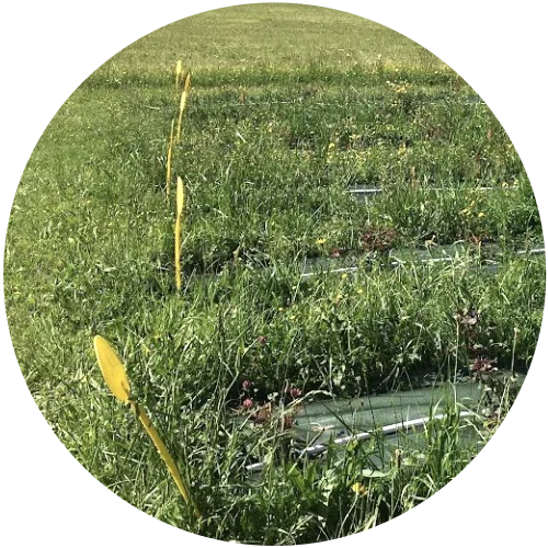 CETEV-agrements CETEV-agrements